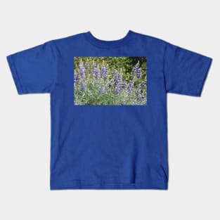 Flowers, purple lupines, nature, gifts, Violet Sublime Kids T-Shirt